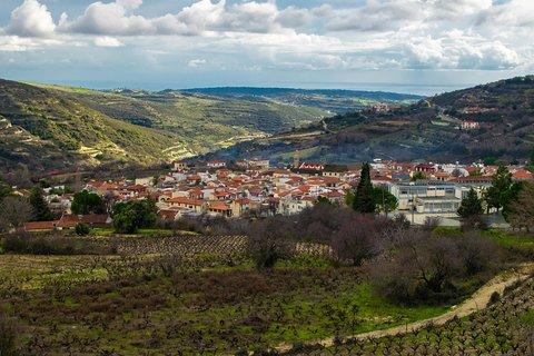 Vino Venture: Explore With A Local - Troodos Mountains thru Wine!