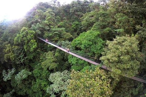 La Fortuna Waterfall, Hanging Bridges, Arenal Volcano Combo Tour