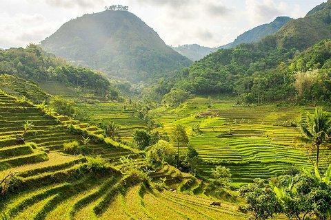 Yogyakarta: Selogriyo Rice Terraces Off The Beaten Track Trip