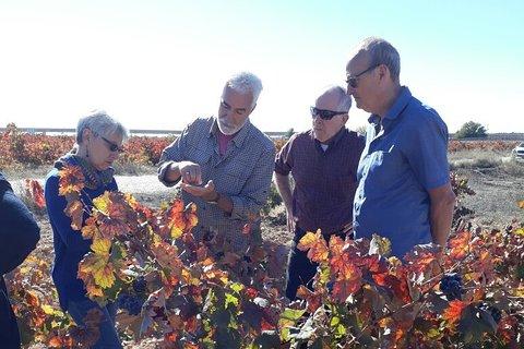 Private Wineries Tour from Valencia (morning tour)