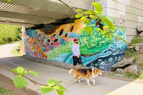 The Great Whistler Walking Tour: Discover Whistler's Sights, History & Culture!