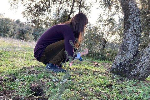 Half Day Gastronomic Wild Walk in Girona
