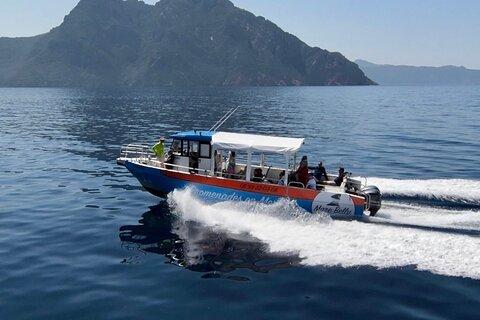 Scandola & Girolata: The Must-see Excursion EN Corsica