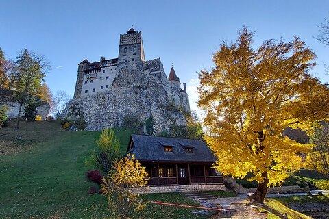 Exclusive Tour: Bran Castle and Brasov from Sibiu