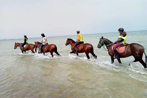 Horseback riding with private transfer