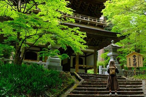 Forest Bathing in Temple and Enjoy onsen with healing power