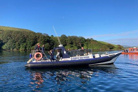 Private family sea safari