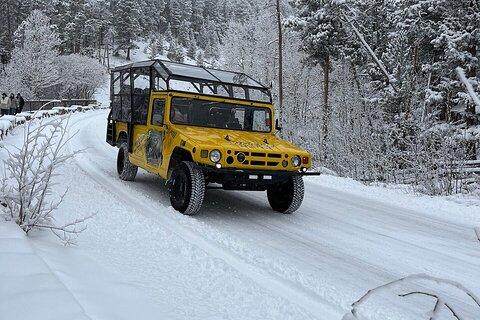 Winter Wonderland Adventure Tour | Sledding (Wildside 4x4 Tours)