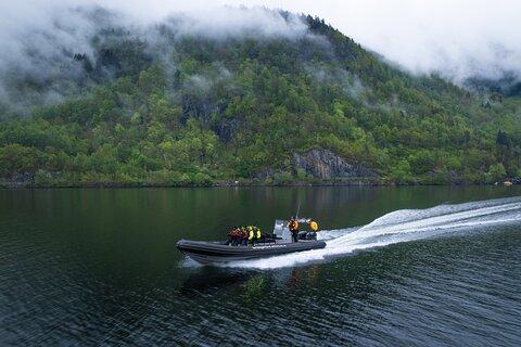 Hardangerfjord RIB Safari to Secluded Fyksesund from Norheimsund