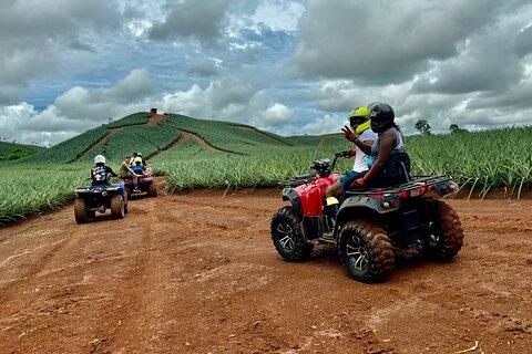 Pineapple Farm Tour like a local (during rainy season)
