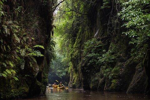 Daytime Canyon Kayak Tour