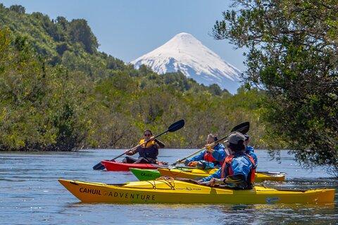 Kayak through the Sunken Forest of the Maullín River
