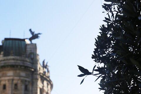 Discover Vigo : Private Historical and Cultural Walking Tour
