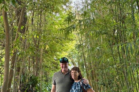 Private Kagoshima: Gardens, Shrines & Observatory by Expert Guide