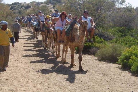 Camel Riding in Maspalomas Dunes