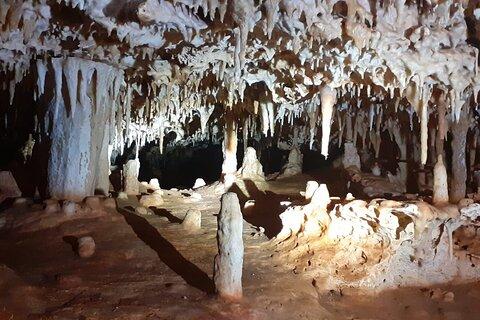 Bonaire Cave Tour: Walk, Climb & Swim