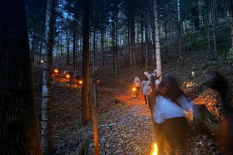 Guided llama hike with traditional raclette