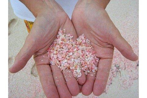 Bermudaful Island Beach Hop