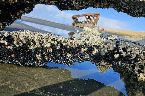 Full-Day Oregon Coast: Astoria, Warrenton, Seaside & Cannon Beach