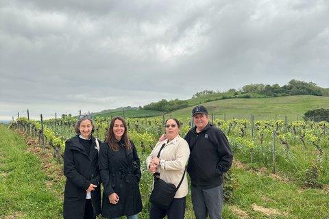 Gaillac Wine Tour Small Group Half Day Tour From Toulouse